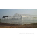 Agriculture Multi-span Tunnel Gothic Greenhouse